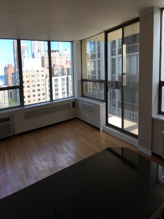 1360 N Sandburg Terrace Unit 1901c, Chicago, IL 60610  