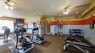 This fitness center offers a dedicated space for cardiovascular and general exercise, thoughtfully designed to motivate and accommodate a range of workout routines. The room's most striking feature is a bold geometric mural painted directly on the wall, depicting mountain peaks in vivid red and charcoal tones — a dynamic backdrop that adds energy and visual interest to the space.

The facility is equipped with multiple Vision Fitness treadmills and elliptical cross-trainers, all positioned on protective floor mats atop wall-to-wall carpeting that cushions movement throughout the room. A natural light source is provided by a centrally placed window, complemented by recessed ceiling lighting that ensures the space remains well-lit at any time of day. The textured ceiling adds a classic finish to the room's overall aesthetic.

The layout is open and spacious, allowing for comfortable use of each machine without feeling cramped. The clean, uncluttered design keeps the focus on functionality, making this a practical and visually engaging environment for fitness enthusiasts. The single-floor layout ensures easy, step-free access throughout the space.