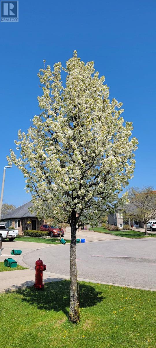 Building Photo - 45 Nathalie Ct