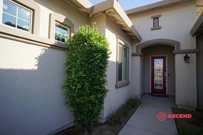 Building Photo - Beautiful 4 Bedroom Home In Olive Dr Area!