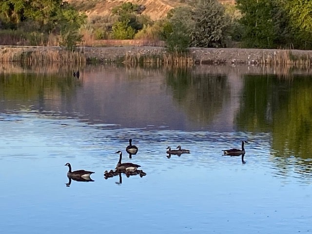 Photo - 3447 Grand Valley Canal Rd