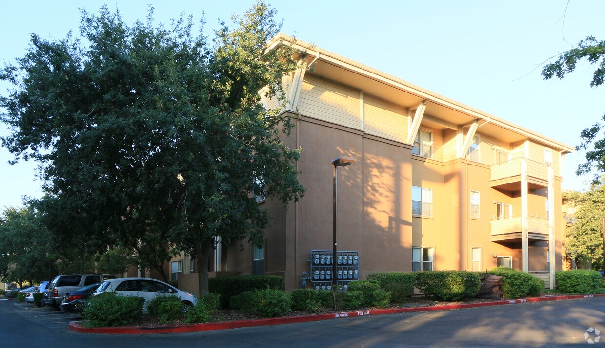 Foto principal - Primero Grove Student Apartments