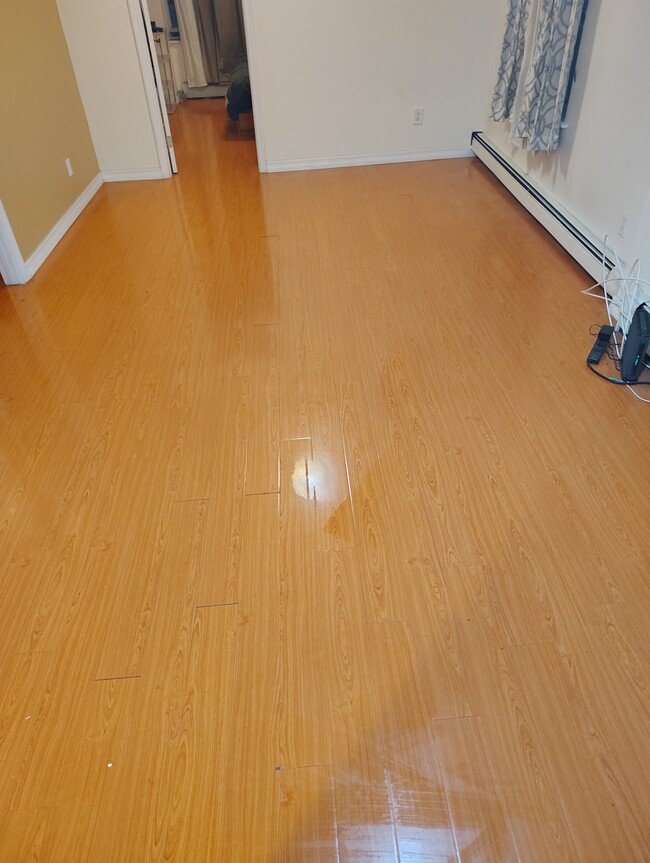 Photo - 123 Senator St House