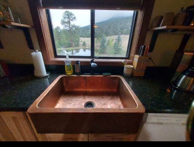 Vista del estanque desde la ventana de la cocina - 934 Catamount Dr