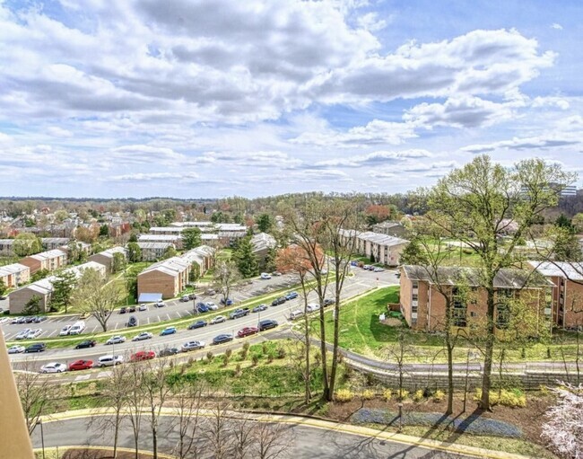 Dolley Madison Apartments - Dolley Madison at Tysons