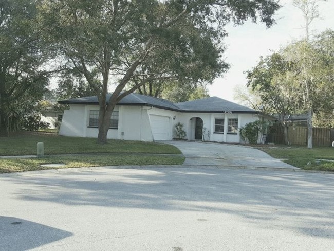 Building Photo - 11706 Shady Tree Pl