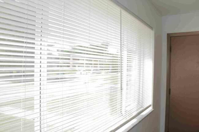 Living room window - 445 Burcke Dr