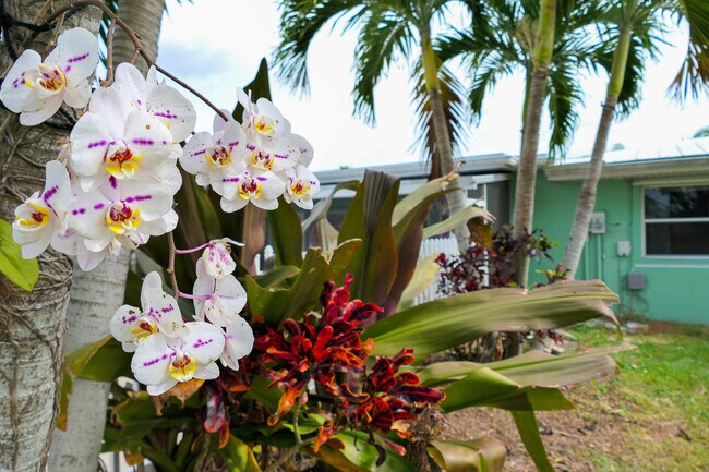 Foto del edificio - 1514 SE Westmoreland Blvd