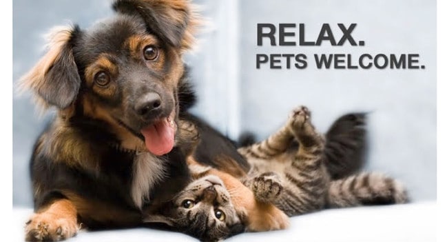 Dogs & Cats Welcome!!!** - Howard Commons and Howard Lofts