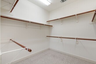 Building Photo - 3010 Blue Lagoon Ct