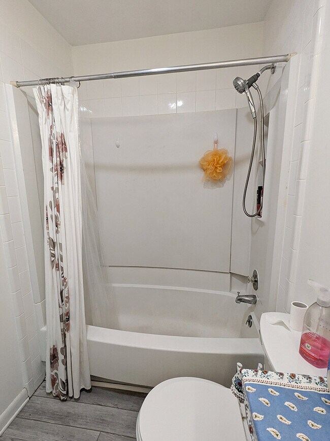 Bathroom (tub) - 1740 Donlee Dr