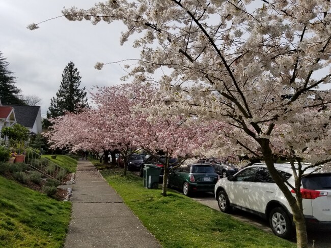 Foto del edificio - 5516 12th Ave NE