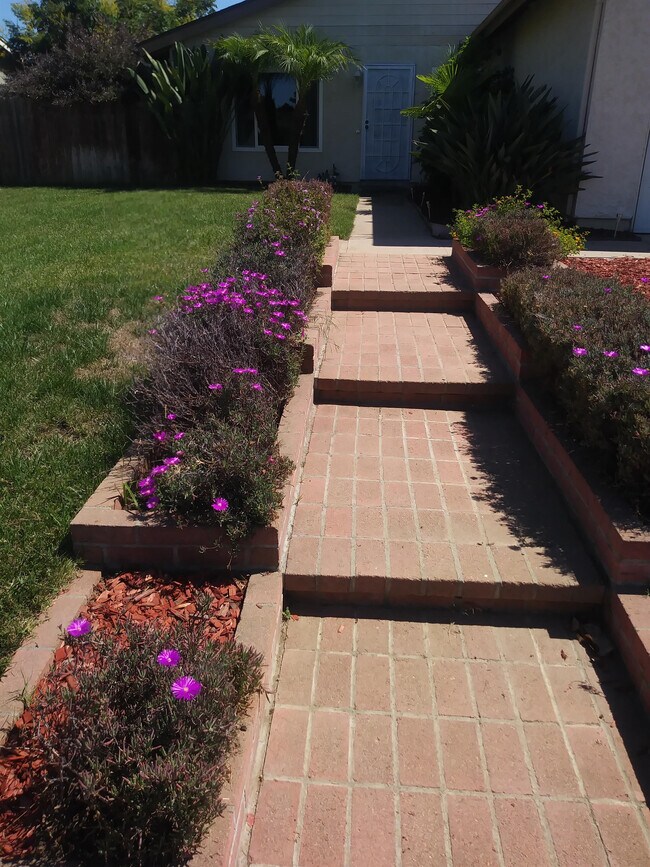 Building Photo - 4569 Calle Del Palo
