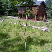 Building Photo - 43 Indian Rd