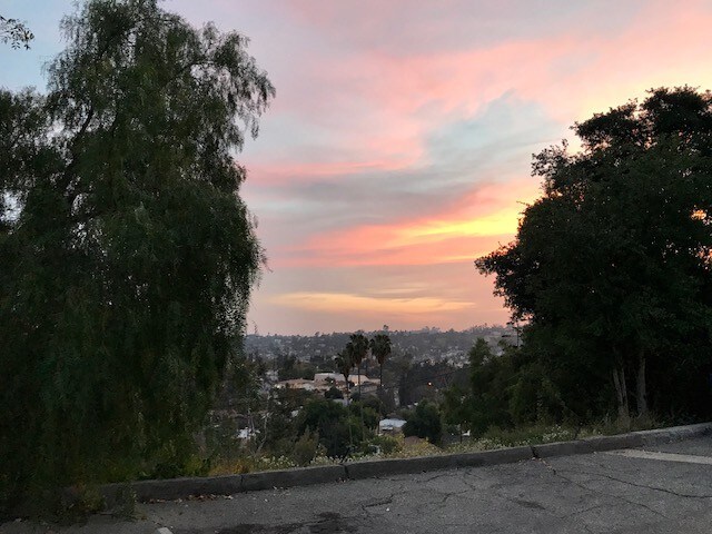 Looking towards Highland Park - 1832 Oak Tree Dr