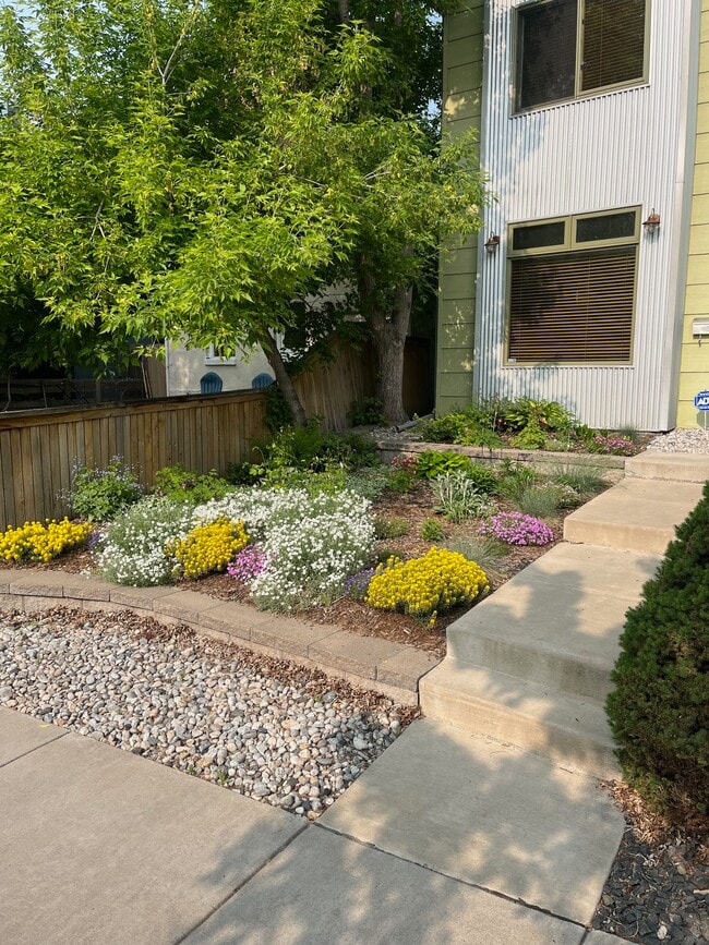 Front Cottage Garden - 3639 Mariposa Street