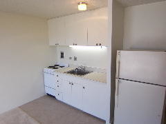 Building Photo - 1650 Kanunu St