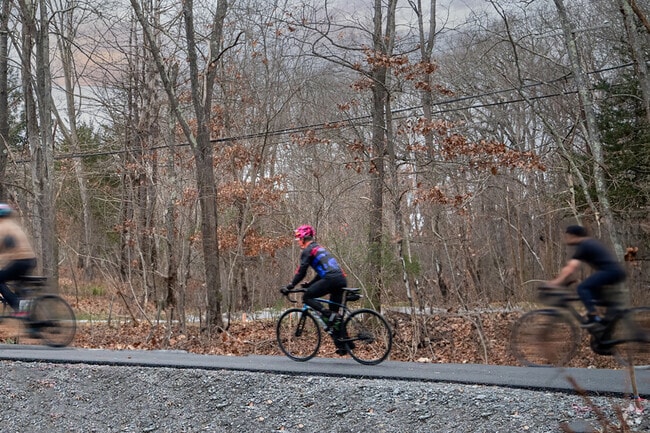 There's plenty of trails to enjoy your bike rides on around Sudbury.