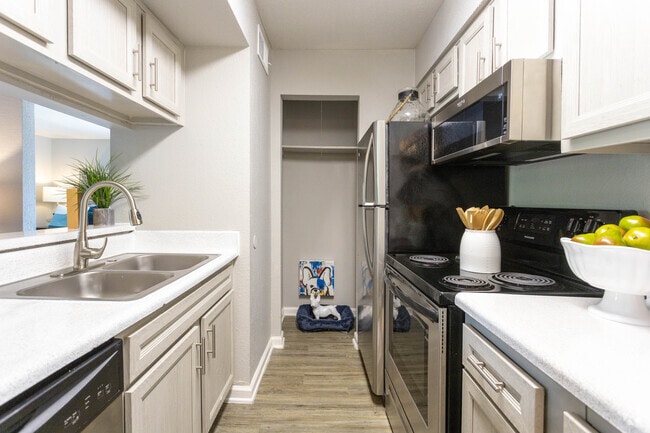 1 habitación, 1 baño - 604 pies cuadrados - University Green