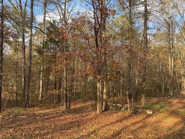 Fenced Backyard - 129 Winchester Dr