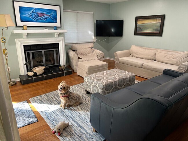 Building Photo - Available 8/1. Beautiful FURNISHED End-Unit Townhome in Central Mt Pleasant!