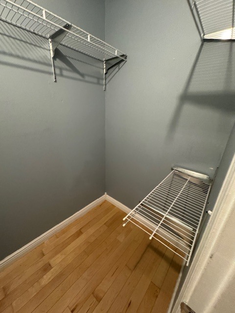 Building Photo - 1266 Fern Hill Dr