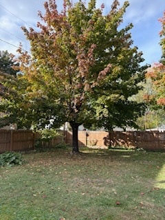 Backyard - 816 Logan Ave