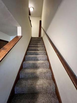 Building Photo - 1439 Live Oak Dr