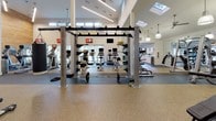 This comprehensive fitness center is designed to accommodate a full range of workout styles across multiple distinct zones. The facility features soaring ceilings with skylights and clerestory windows that flood the interior with natural light, complemented by pendant lighting and ceiling fans for comfort. Warm wood-paneled accent walls and large-scale athletic murals contribute to an energizing aesthetic throughout.

The cardio zone is lined with Star Trac treadmills and elliptical machines, each equipped with individual monitors, positioned alongside floor-to-ceiling windows that overlook an outdoor pool area, offering exercisers an open, airy view. A dedicated strength training area provides a robust selection of dumbbells, weight benches, and resistance machines, with full-length mirrors enhancing the sense of space. A functional training zone features a multi-station rig with barbells and weight plates, ideal for compound and cross-training workouts.

A separate strength and conditioning room, distinguished by a bold blue accent wall, houses cable machines and selectorized strength equipment on rubberized flooring. An additional free weights area includes medicine balls, stability balls, and adjustable benches. The flooring throughout transitions between speckled rubber, smooth tile, and cushioned surfaces tailored to each training zone, ensuring both safety and functionality across the entire facility.