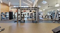 This comprehensive fitness center is designed to accommodate a full range of workout styles across multiple distinct zones. The facility features soaring ceilings with skylights and clerestory windows that flood the interior with natural light, complemented by pendant lighting and ceiling fans for comfort. Warm wood-paneled accent walls and large-scale athletic murals contribute to an energizing aesthetic throughout.

The cardio zone is lined with Star Trac treadmills and elliptical machines, each equipped with individual monitors, positioned alongside floor-to-ceiling windows that overlook an outdoor pool area, offering exercisers an open, airy view. A dedicated strength training area provides a robust selection of dumbbells, weight benches, and resistance machines, with full-length mirrors enhancing the sense of space. A functional training zone features a multi-station rig with barbells and weight plates, ideal for compound and cross-training workouts.

A separate strength and conditioning room, distinguished by a bold blue accent wall, houses cable machines and selectorized strength equipment on rubberized flooring. An additional free weights area includes medicine balls, stability balls, and adjustable benches. The flooring throughout transitions between speckled rubber, smooth tile, and cushioned surfaces tailored to each training zone, ensuring both safety and functionality across the entire facility.