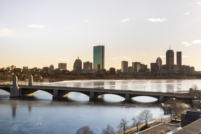 Foto del edificio - 75-83-83 Cambridge Pkwy