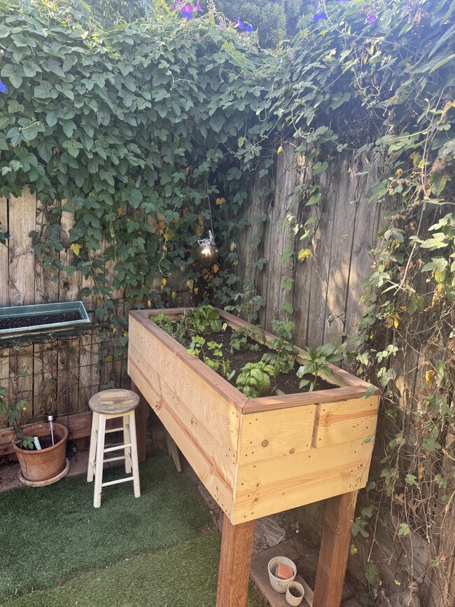 Private backyard - 3482 Midvale Ave