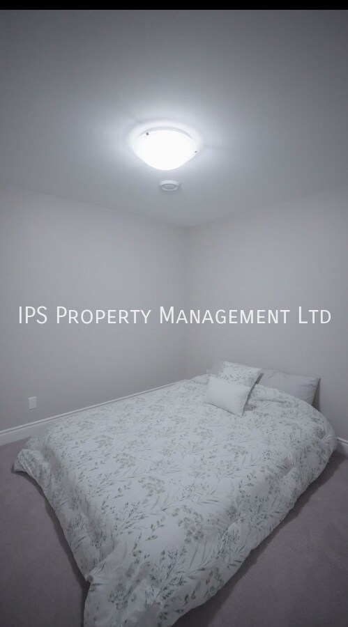 Photo du bâtiment - Newly Built - 1 Bed |1 Bath Sharing Room In Basement