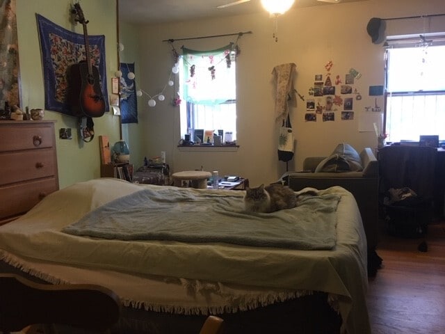 Building Photo - 471 Massachusetts Ave