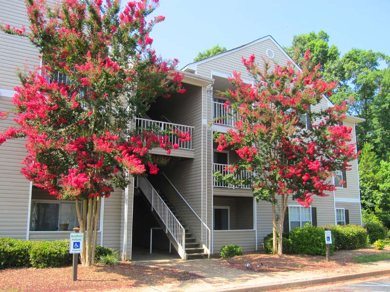Clemson Ridge - Clemson Ridge