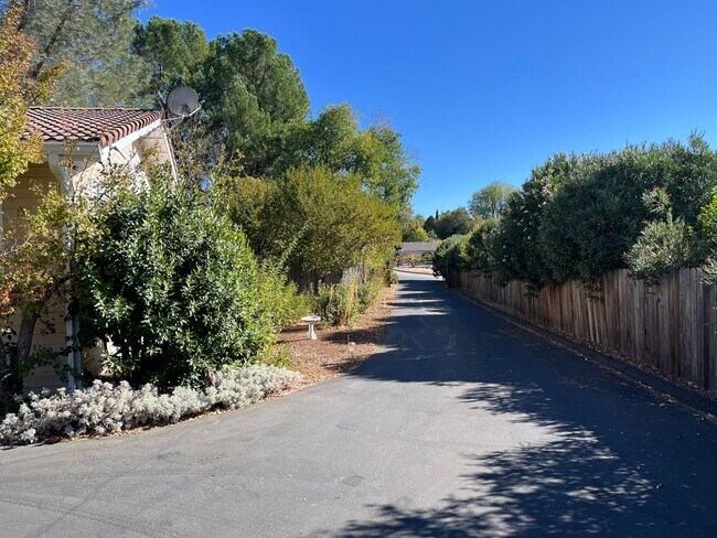 Building Photo - Paso's Gem! Single level 4 Bedroom Lots of...