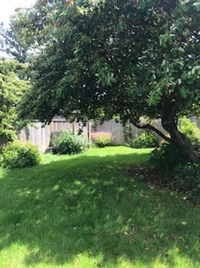 Building Photo - Pet-friendly Trinidad cottage near the beach & shopping!