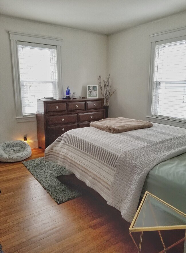 bedroom: lots of natural light - 59 Linden St