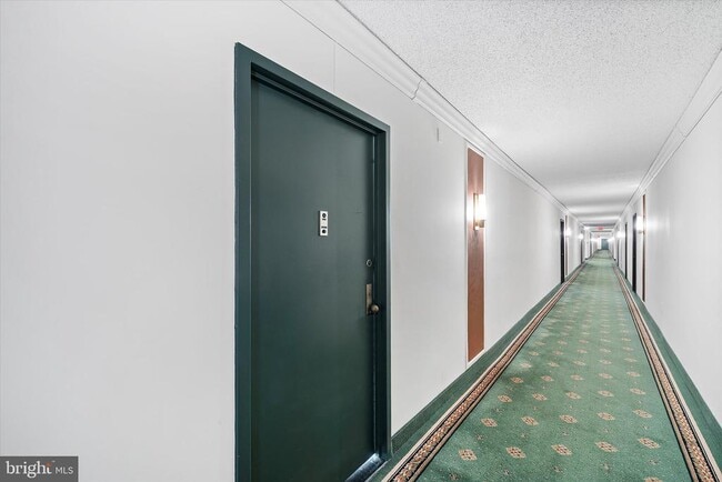 Foto del edificio - 3705 S George Mason Dr