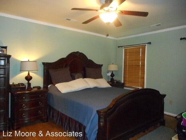 Building Photo - 3 br, 2 bath House - 220 Susan Newton Lane