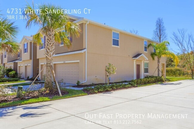 Foto del edificio - Bright and Modern 3-Bedroom Home in Tampa, FL