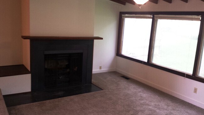 Fireplace in Sunken Living Room - 1117 S 1st Ave