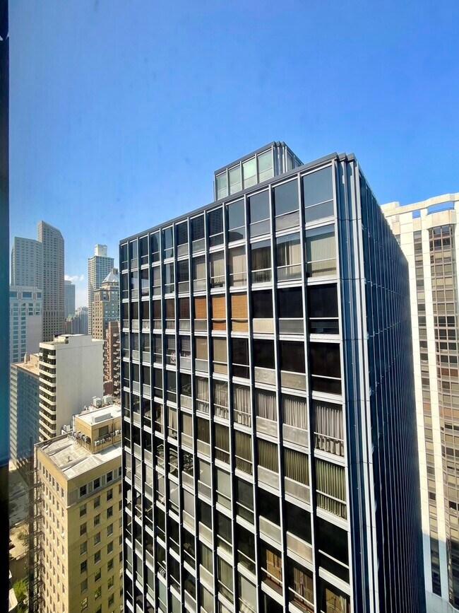 Building Photo - 900 N Lake Shore Dr