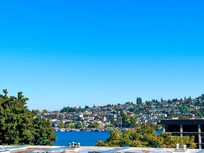Foto del edificio - Beautiful Water View 2 Bed Home in Queen A...