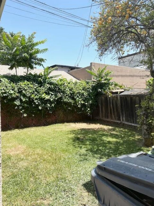Backyard Green Space - 711 W Spruce St