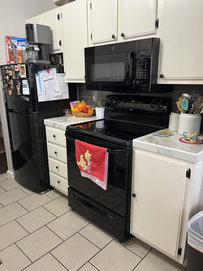 kitchen - 3870 E Leonesio Dr