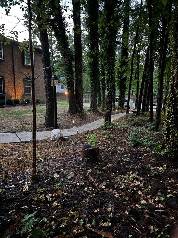 Foto del edificio - 116 Engleman Ave