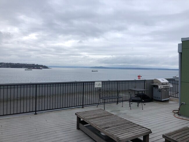Communal Grill and Deck Sitting - 66 Bell St
