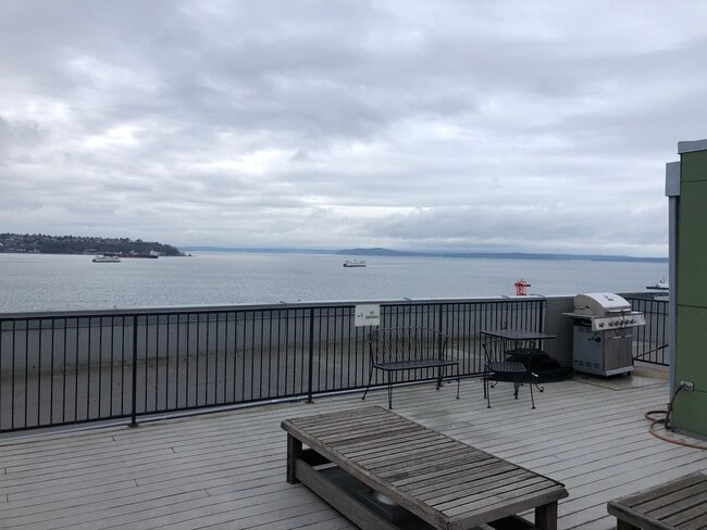 Communal Grill and Deck Sitting - 66 Bell St