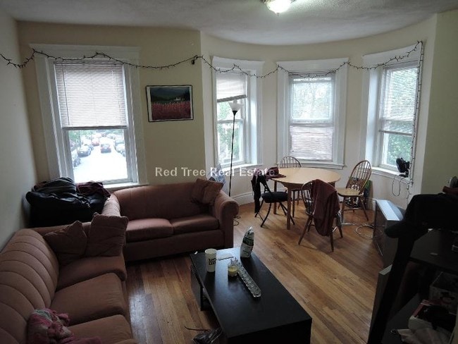 Photo - 183 Strathmore Rd Apartments